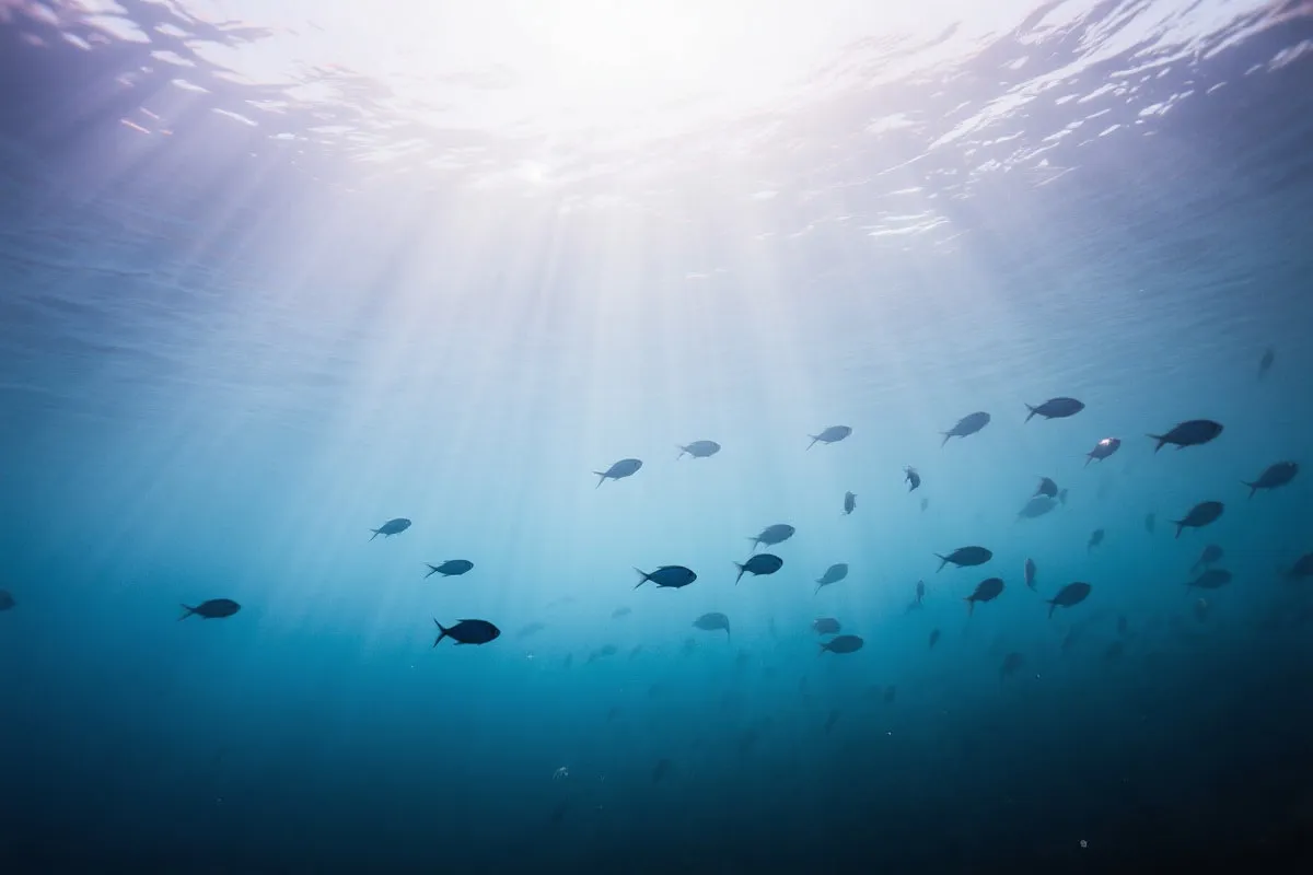海底旅程结束横幅